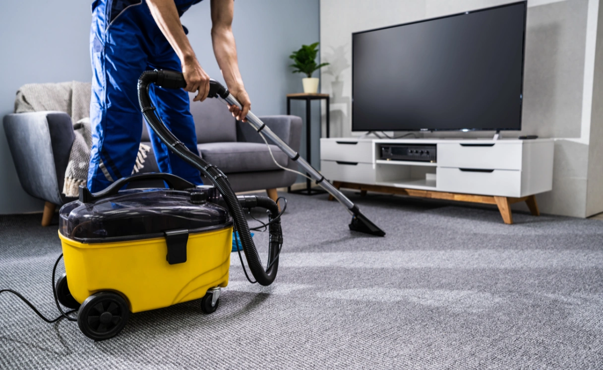 Extract End of Lease Cleaning Sassafras Contact Office